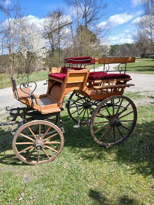 bryczka konna na jednego konia  z hamulcem