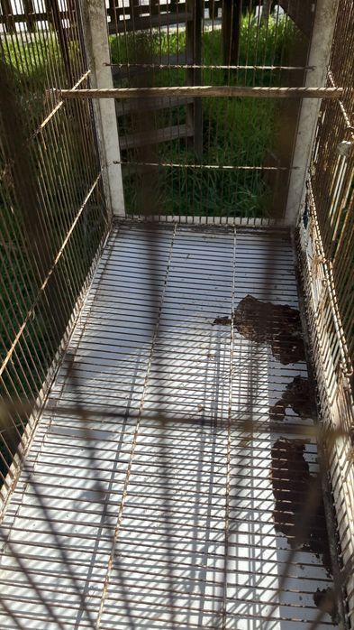 Gaiola criadeira dupla para aves