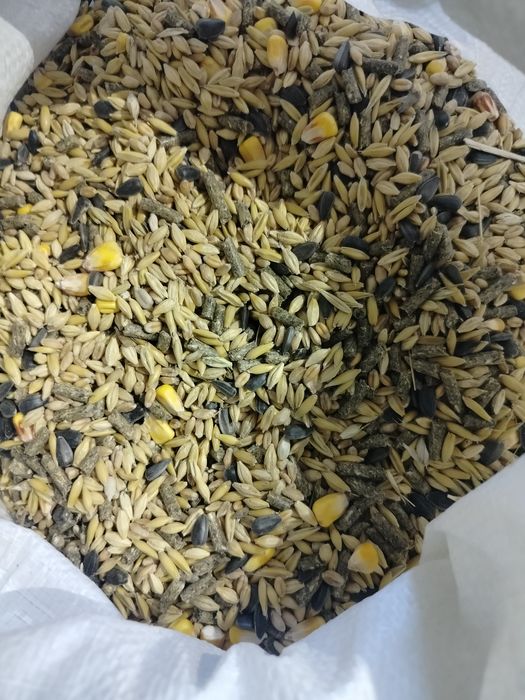 Karma królik mieszanka dla królików