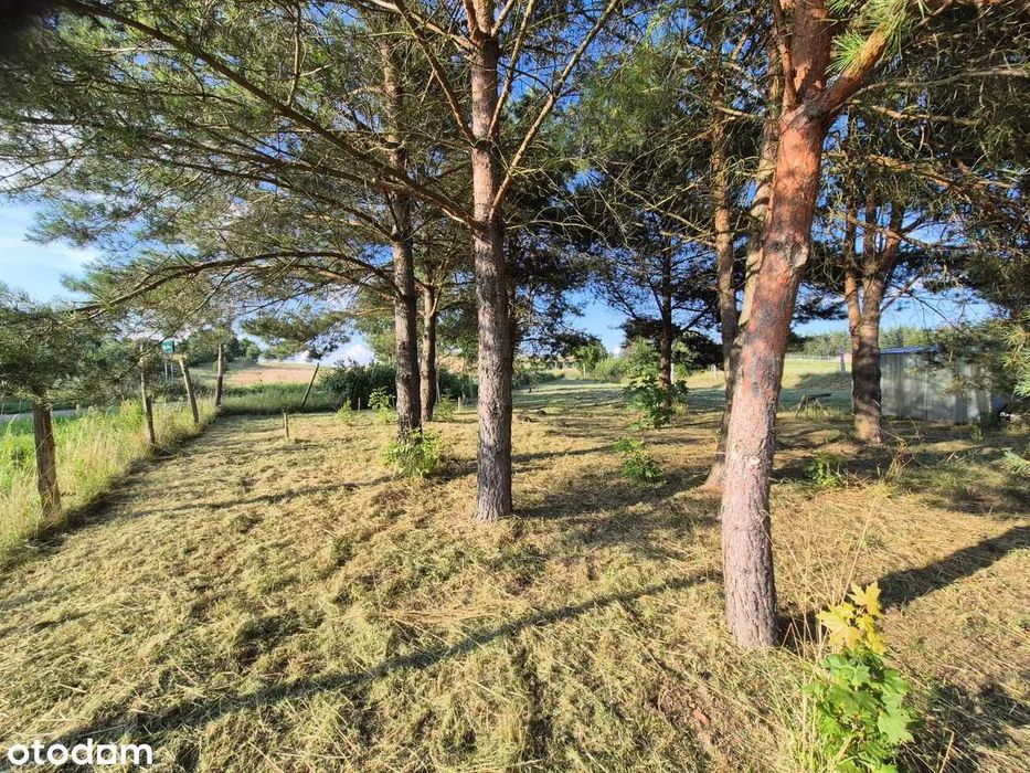 Atrakcyjna działka z rozpoczętą budową – Mazury, k. Mrągowa - Widok 3