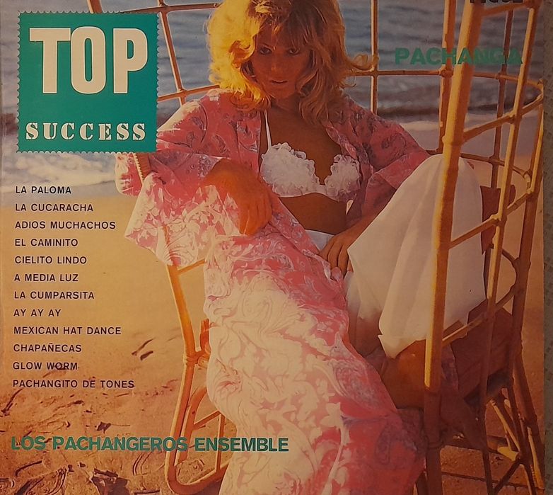 TOP Success - vários artistas