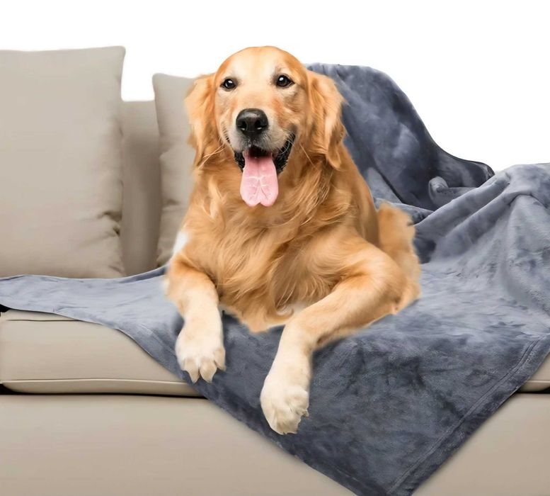 Nobleza wodoodporny koc dla psa M 100/75cm