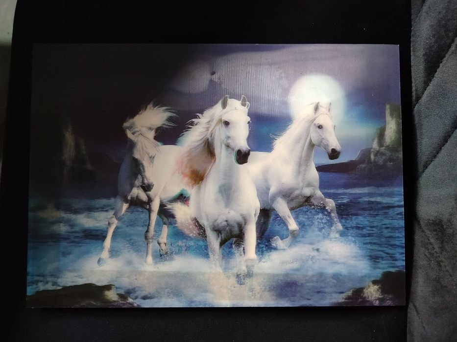 Obrazek 3D konie