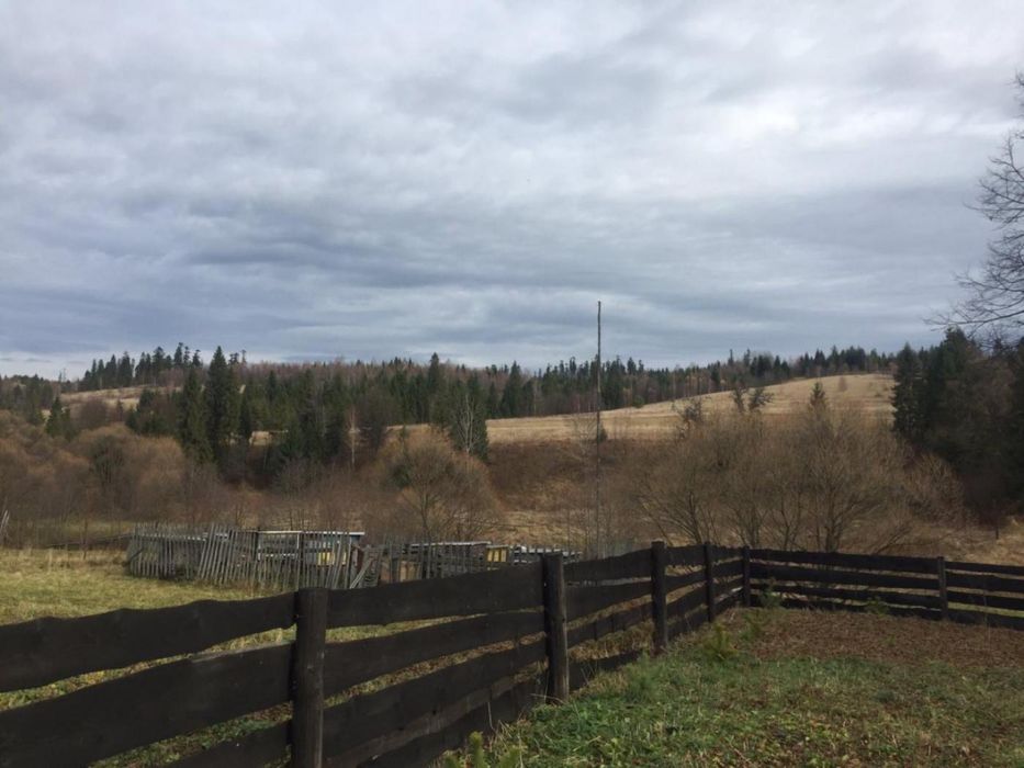 Продаж / Земля / будівництво / Довжки / Стрийський, Львівська область