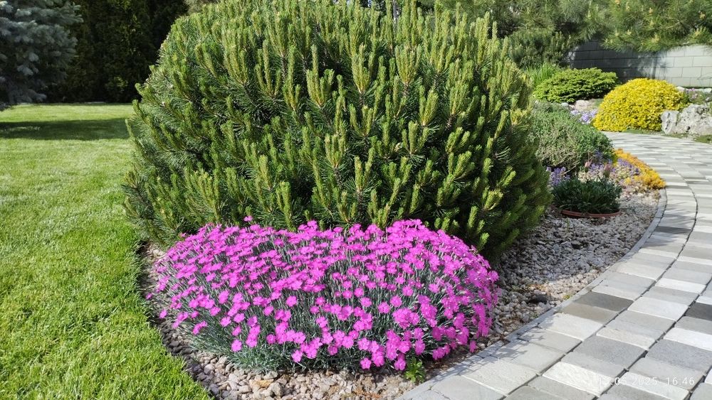 Уход за садом, озеленение, ландшафтный дизайн !