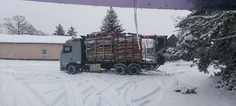 Usługi transportowe, transport drewna z lasu, Usługi HDS