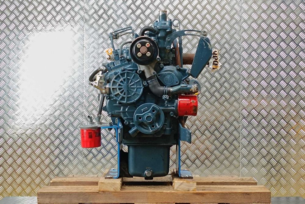 Silnik spalinowy - Kubota D905