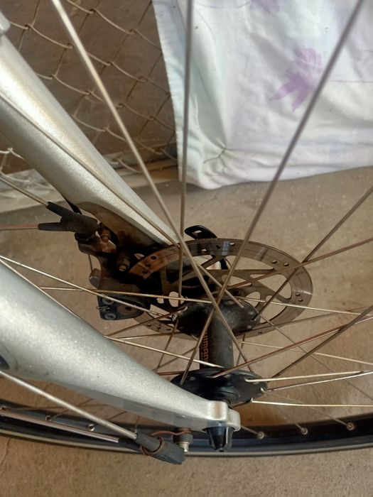 Rower Rabeneick godny polecenia