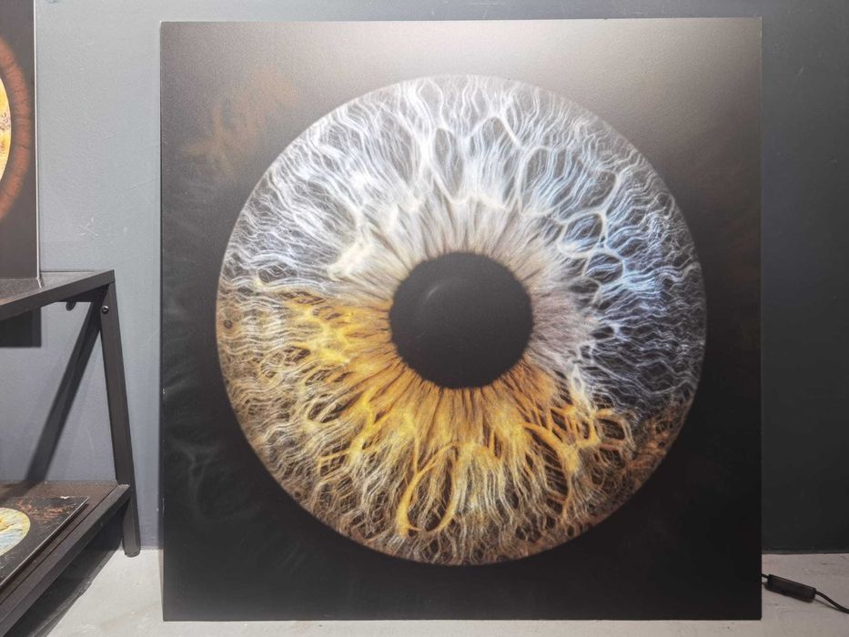 Quadro de Íris bi color em fundo preto, Alu Dibond