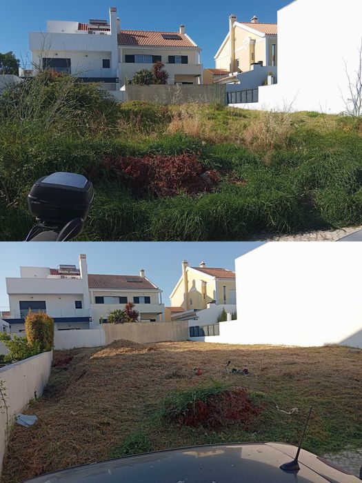 Limpeza de terreno