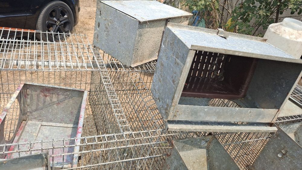 Coelheiras,  gaiolas coelhos