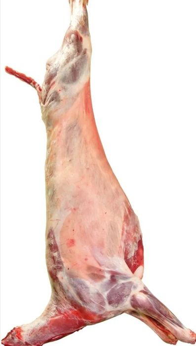 Baranina, jagnięcina, owce