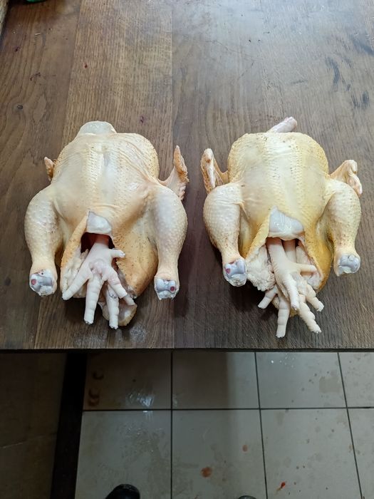 sprzedam brojlery z własnej przydomowej chodowli