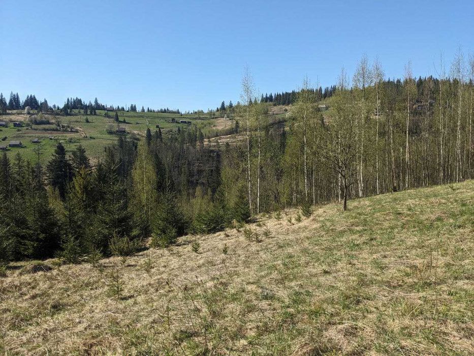 Видова ділянка в Микуличині 72 сот