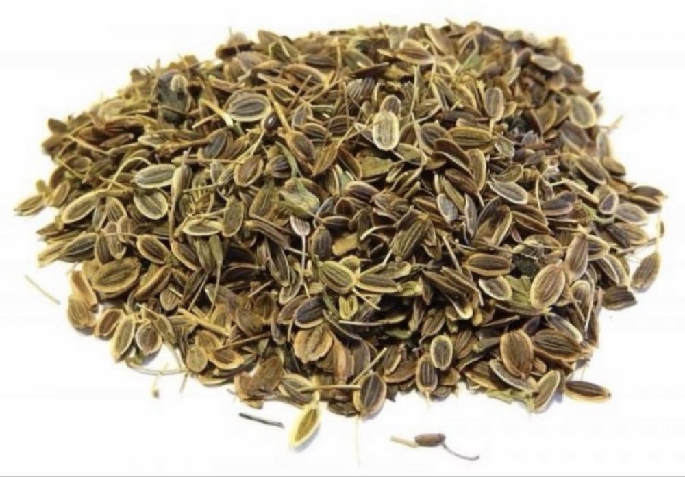 Кріп домашній сімена укропу насіння плоди кропу семена укропа