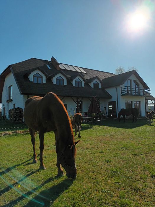 Przestronny apartament na wsi