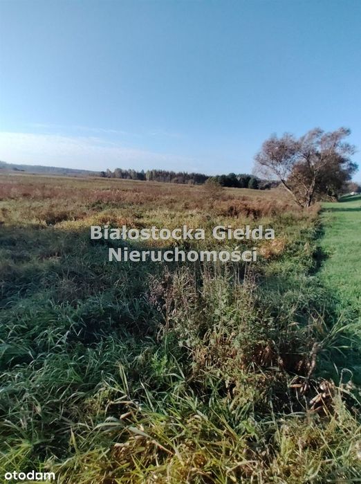 ###działki Długochorzele//1206m2//300m jezioro###