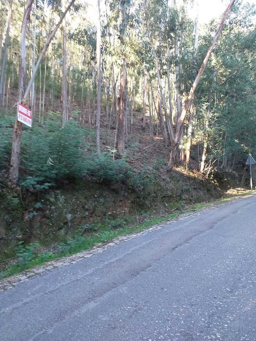 Terreno Rústico com 2.000 m² junto à Mata de Vale de Canas — Coimbra