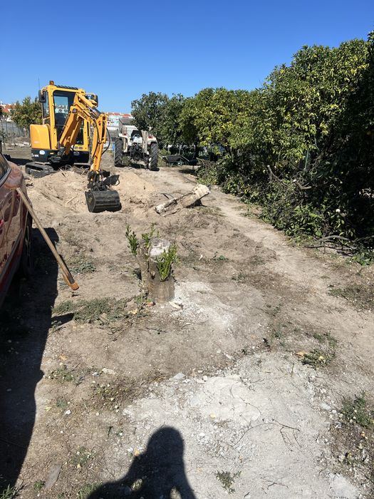 Serviços de Escavações, Demolições e Limpezas de Terrenos