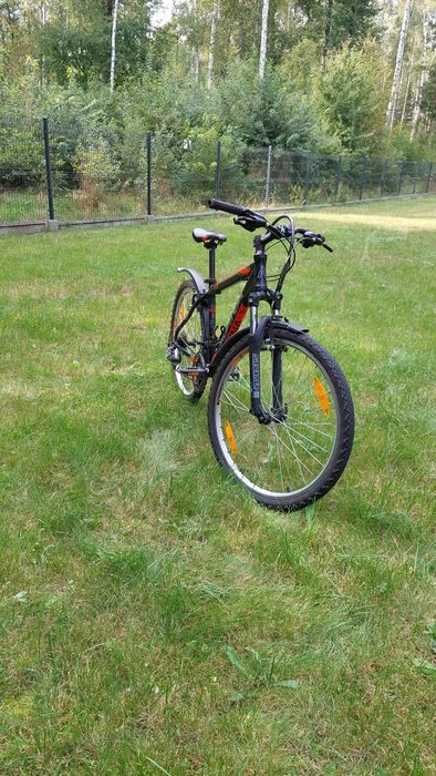 Rower Alpina ECO 20 M