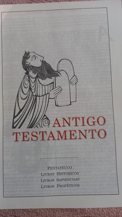 Biblia sagrada ilustrada.