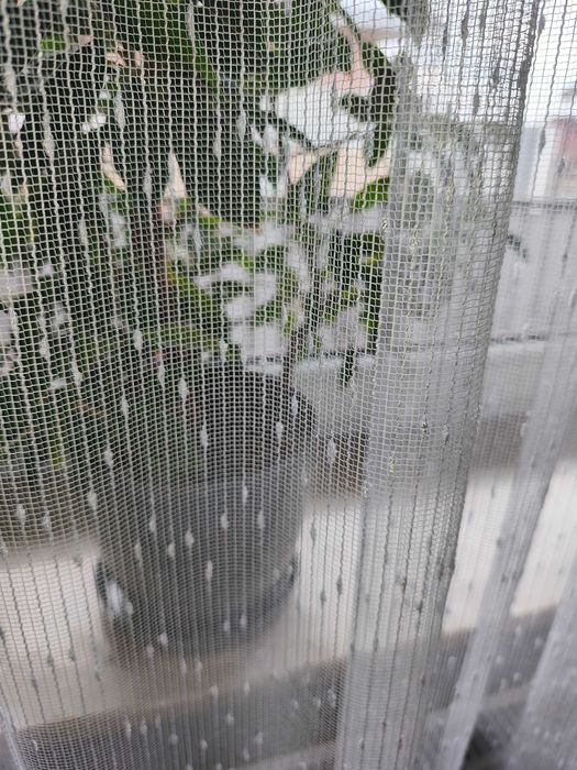 Firanka Biała do pokoju 240 na 260