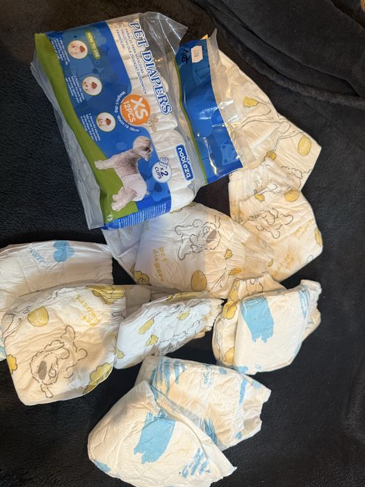 Pampersy dla psa xs