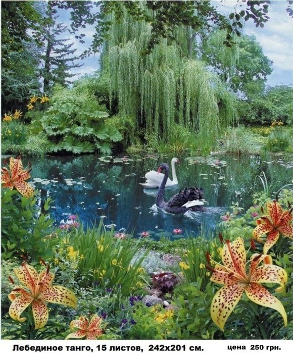 ФОТООБОИ больших размеров. Обои. Фотошпалери.