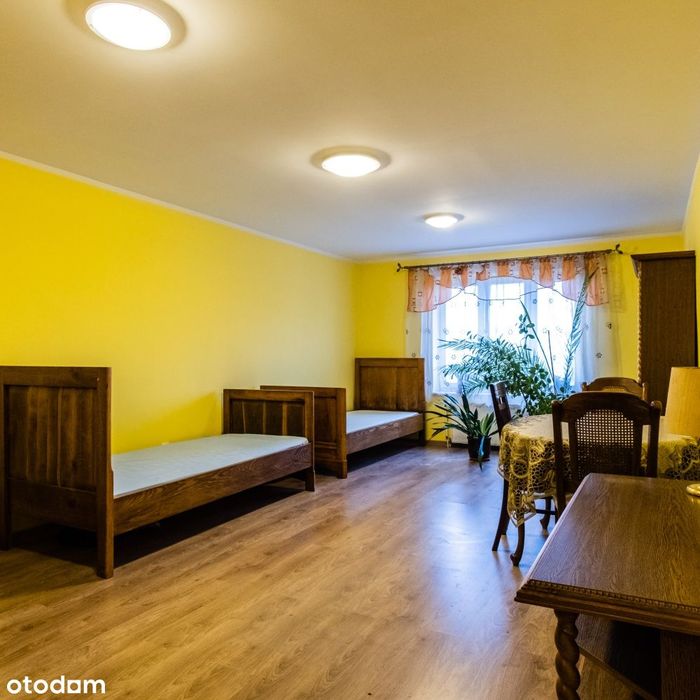 Siedlisko 2,5 ha + dworek 400 m² |cisza przyroda |Chodecz Włocławek