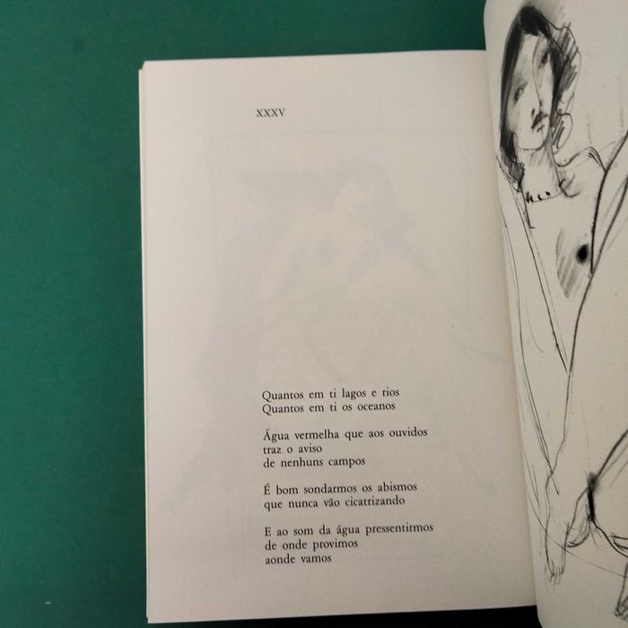 O Corpo Iluminado - David Mourão-Ferreira / Francisco Simões