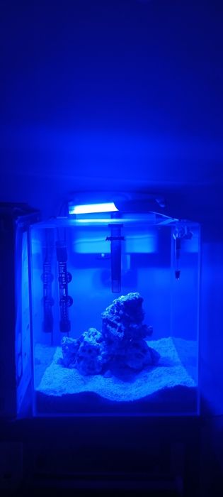 Aquario nano reef aquael 49litros Último preço