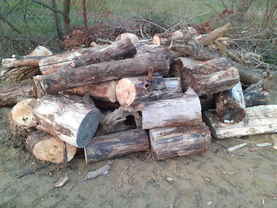 drewno do pieca , kominka itp. - topola - sucha 12 mp. po 95 zł / mp
