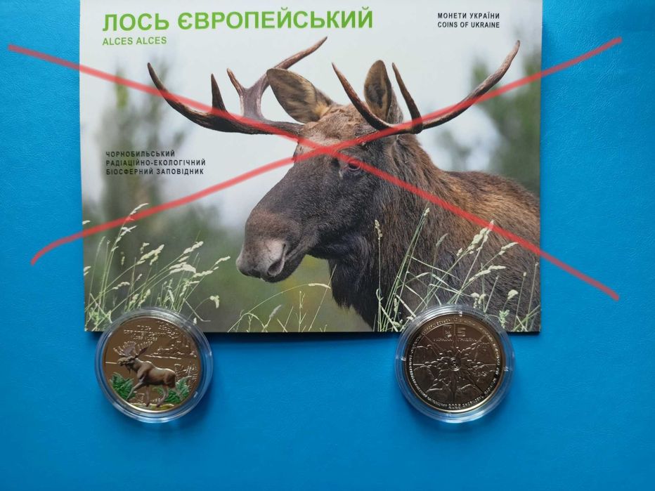 Чорнобиль. Відродження. Лось європейський.