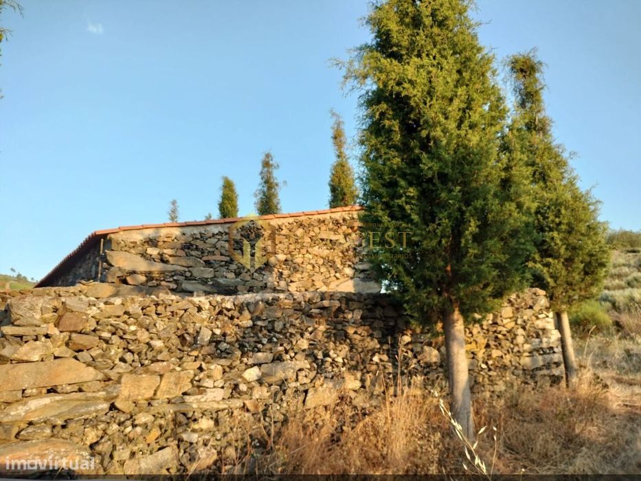 Terreno Agrícola para produção de Vinho