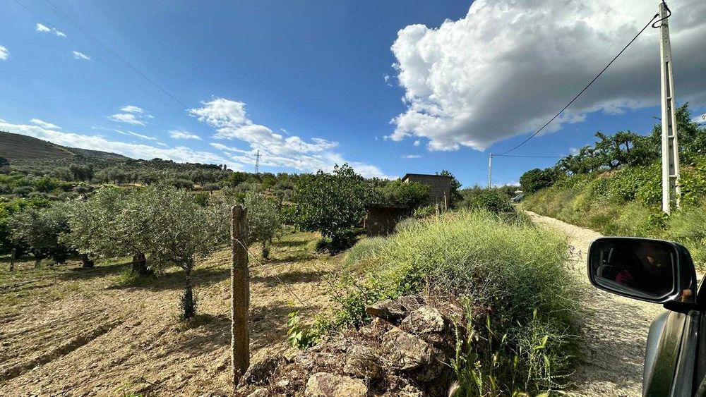 Terreno de 1,04 ha em Vila Flor (Vale da Vilariça) – Com Água (Furo/Tanque), Armazém Agrícola e Vistas Fantásticas