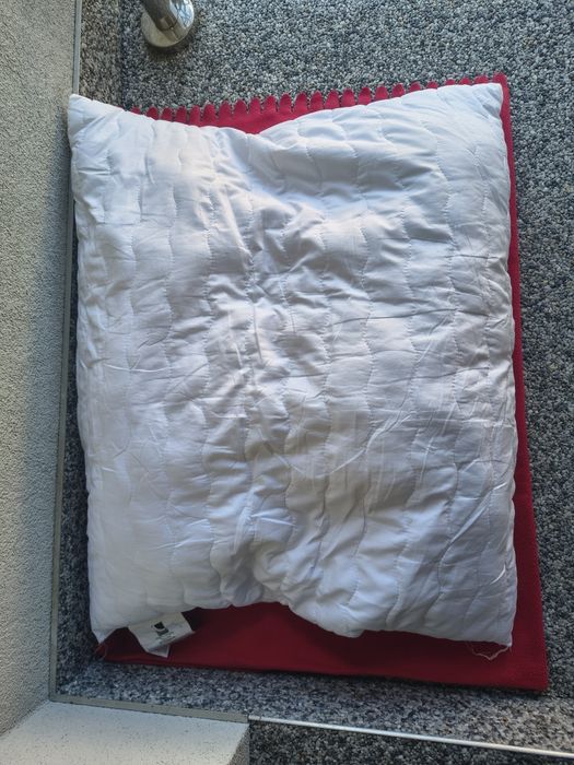 Komplet zestaw poduszek 70x80 cm szt. 2 Jysk sola