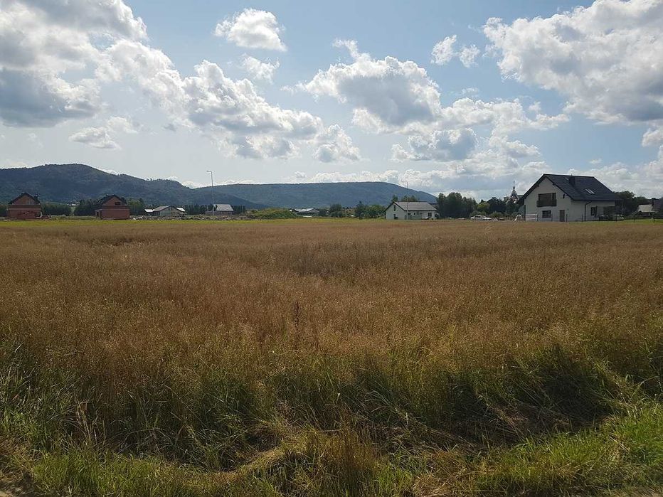 Wydzierżawię 40 arów ziemi rolnej – Roczyny, ul. Środkowa | klasa R III b, płaska działka, dobry dojazd, 300 zł/rok | dopłaty dla rolnika | pod zboża - Widok 4