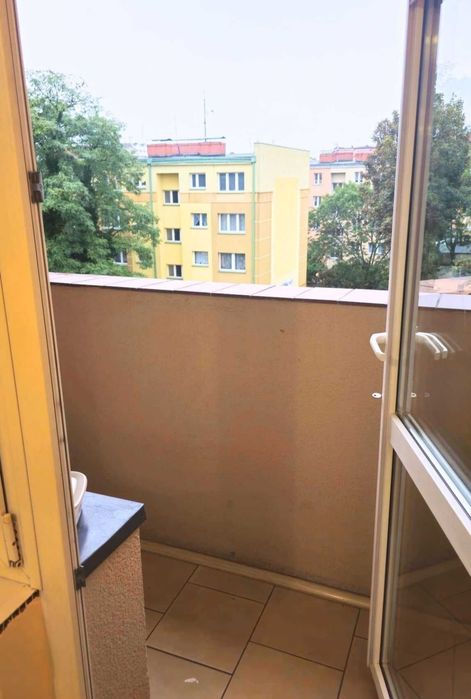 Zdjęcie 8