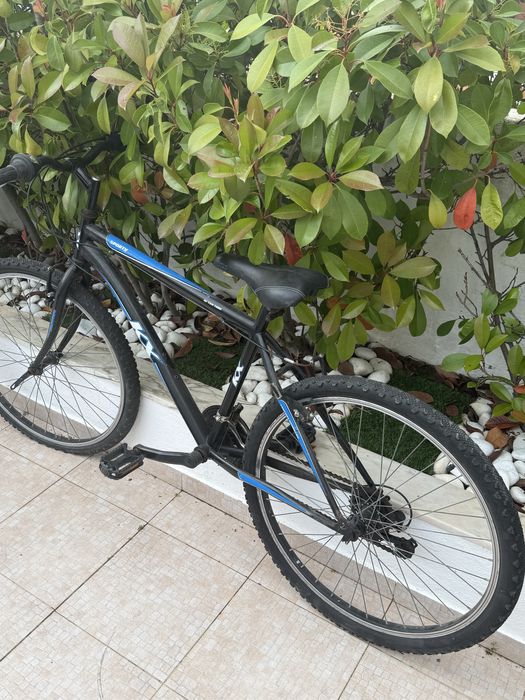 3 bicicletas por 20€!