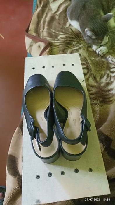 Жіночі туфлі-слінгбеки чорного кольору бренду clarks