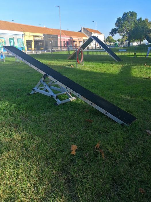 Pista completa de competição de agility
