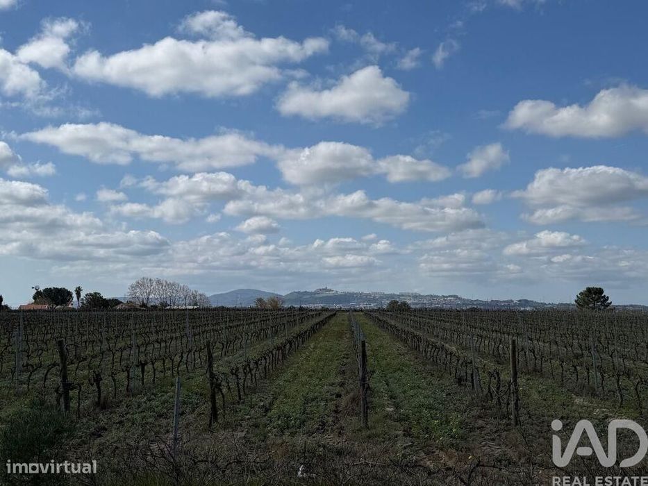 Terreno Agrícola em Palmela