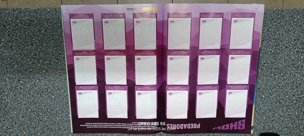 Coleção Oficial de Cromos Panini - Futebol 2024/25 Liga BETCLIC