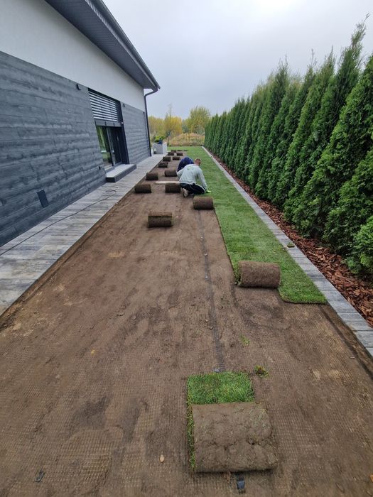 Trawa z rolki 40 m2 z dostawą pod dom
