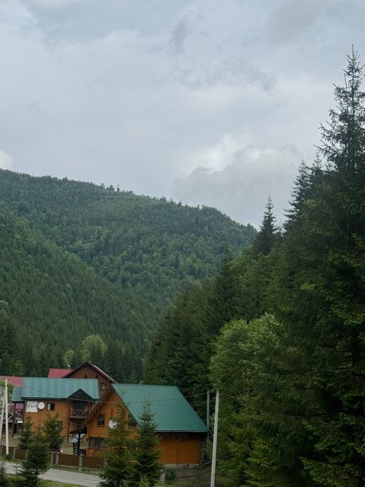 Відпочинок біля озера Синевир