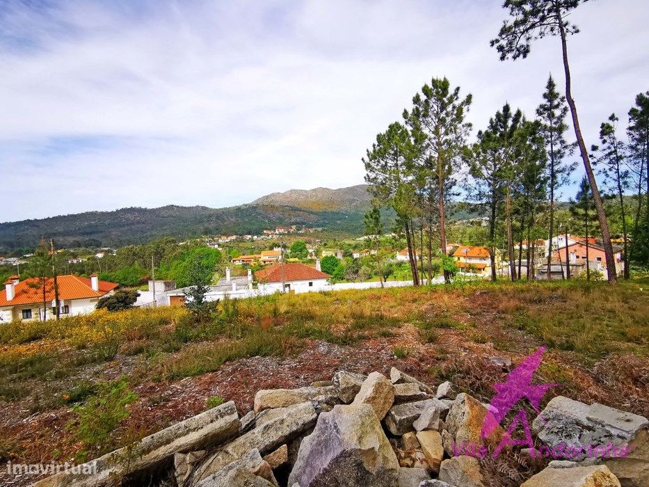 Terreno em Nogueira com vista desafogada