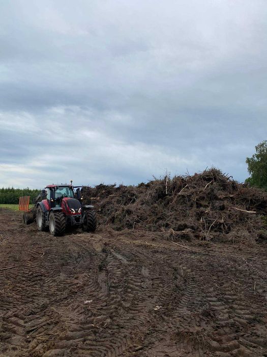 Wycinka Drzew Sadów Lasów Samosiejek za pozyskany materiał Kompleksowe Karczowanie