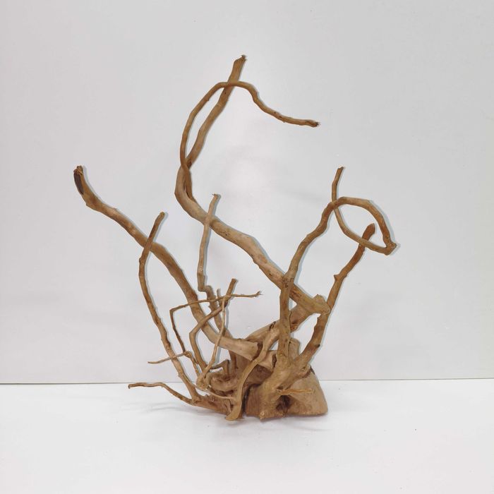 Piękny Red Moor korzeń japoński akwarium lub terrarium naturalna driftwood