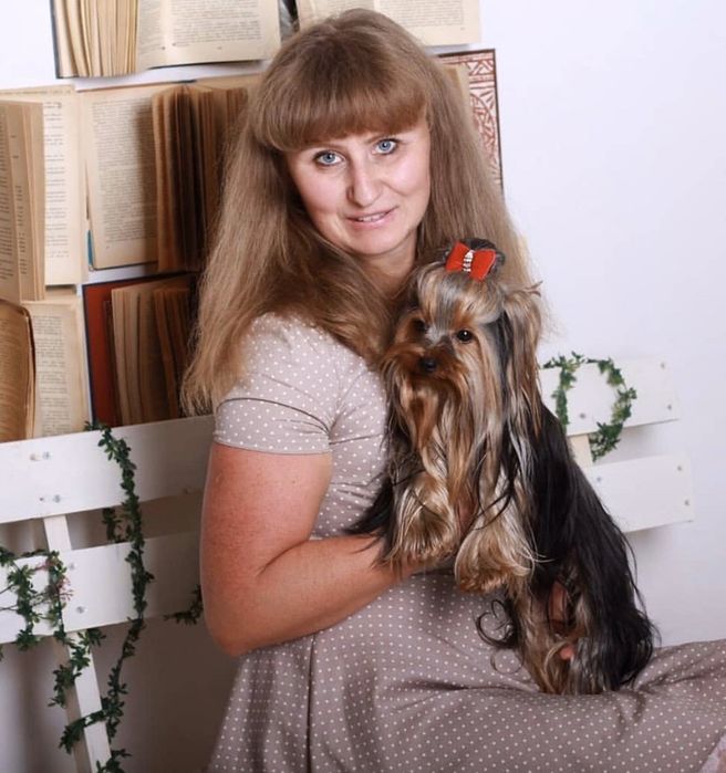 Міні йорки для в"язки, КСУ!!!