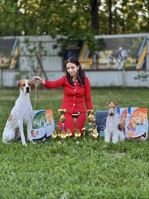 Професійні послуги хендлерa  Профессиональный хендлер